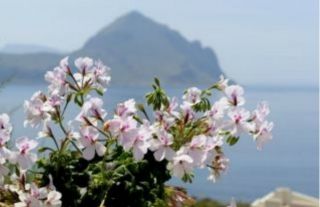 Special Spring at Hotel Pocho